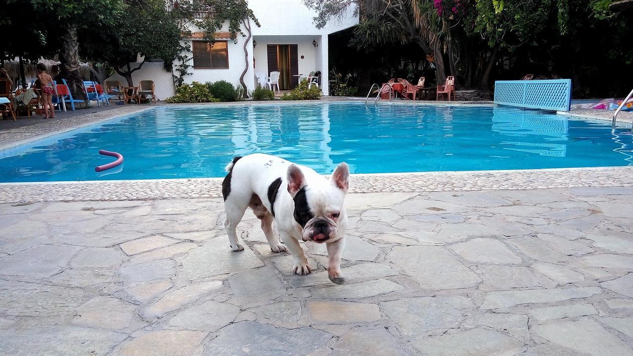 Oasis Hotel Bungalows Rhodes アファンドウ エクステリア 写真